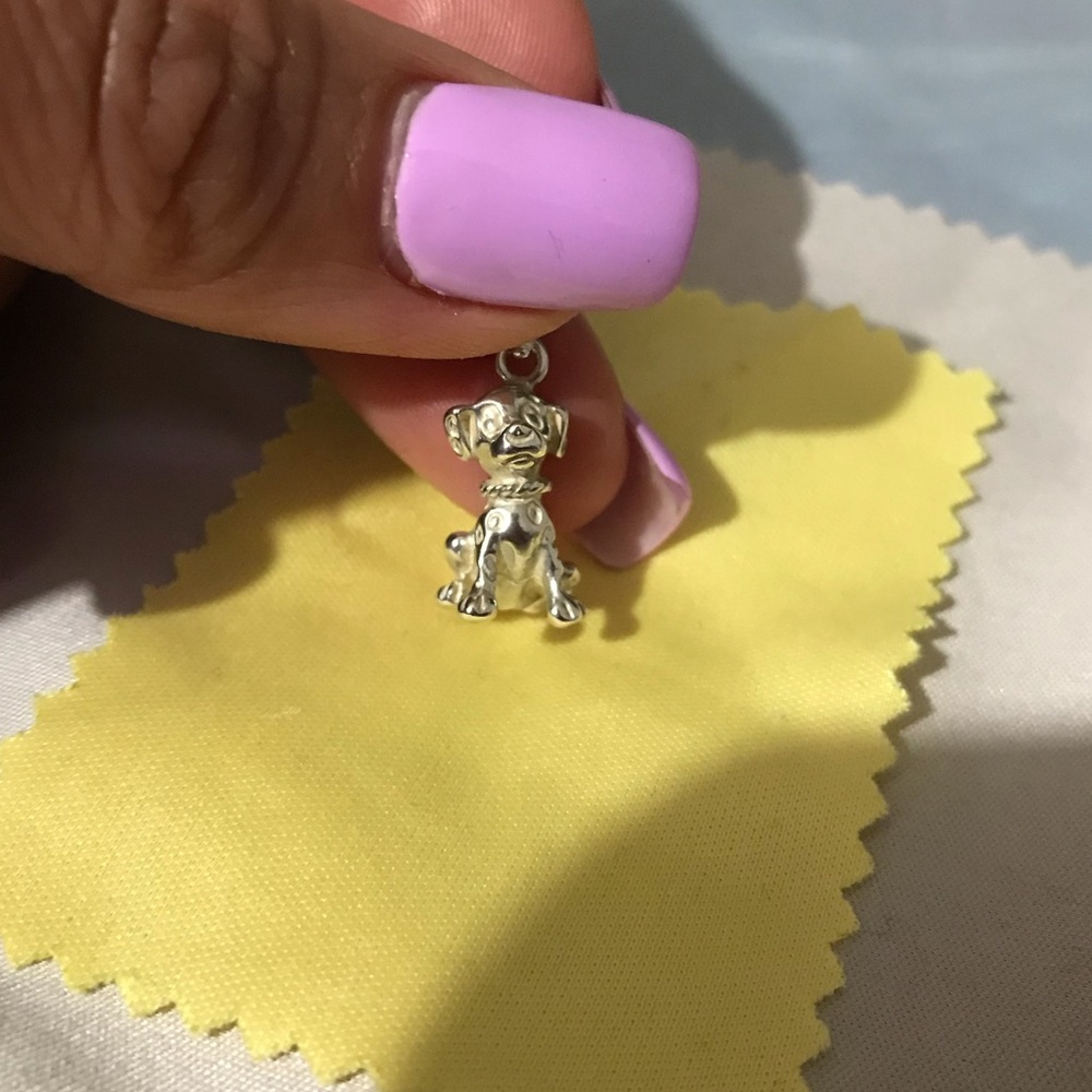Silver Dalmatian puppy medal.